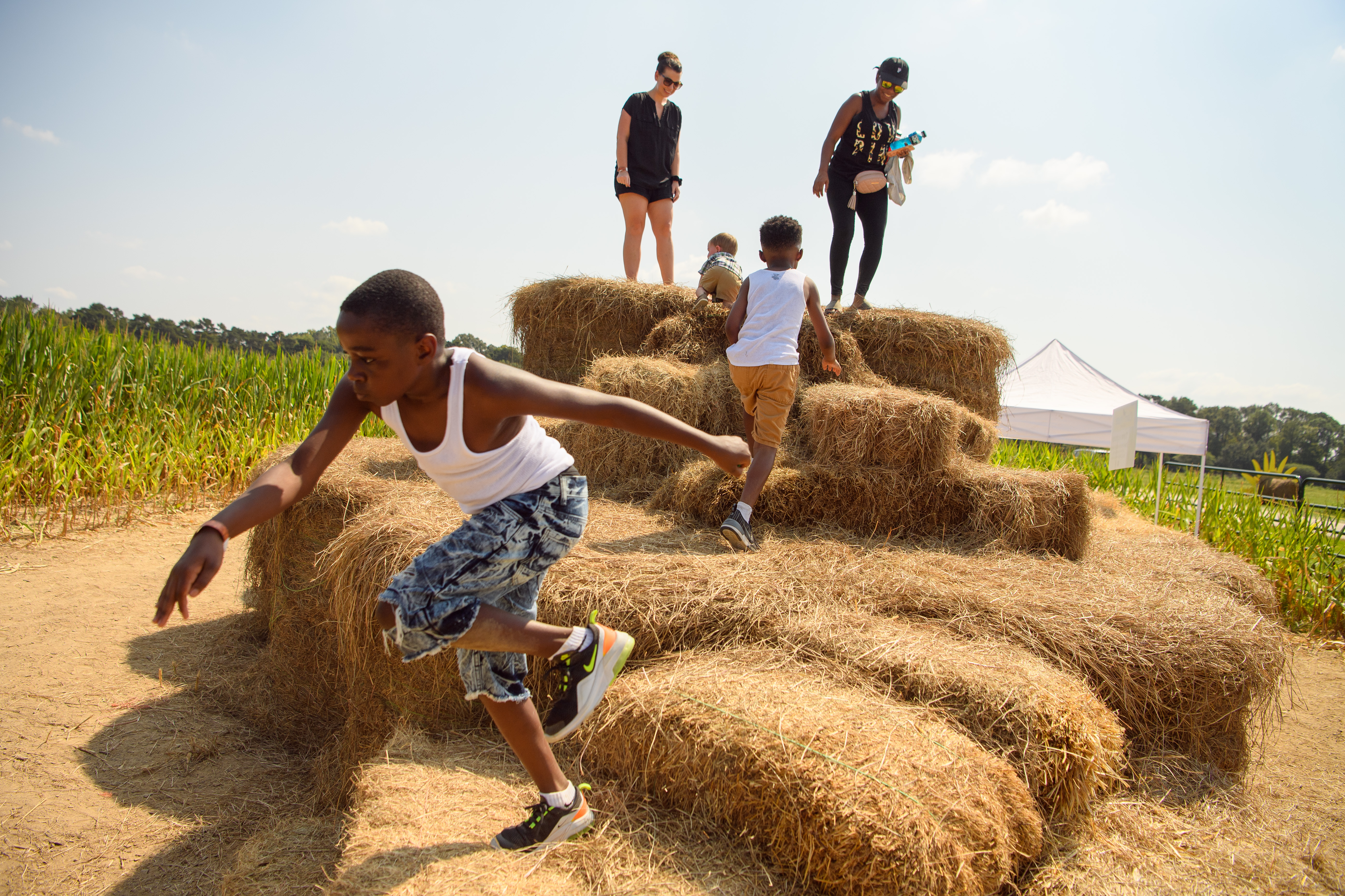 LSU AgCenter Botanic Gardens presents Corn Maze at Burden 2022 on Oct. 1-2